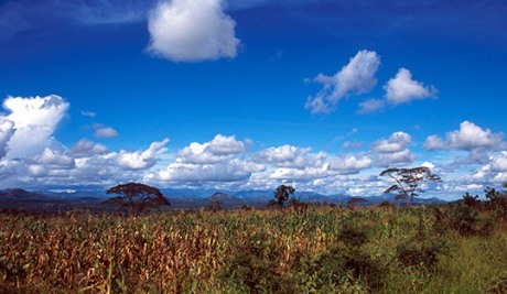 Landscape in Gairo, Tanzania. Photo: DCI